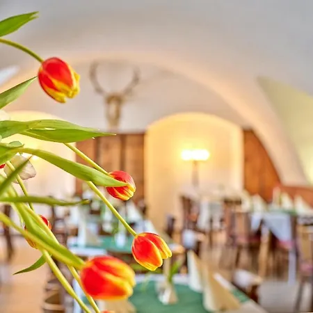 Amweia Hotel & Restaurant Ξενοδοχείο Hohenau